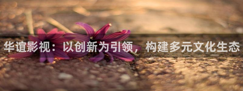 蓝莓影院新版下载：华谊影视：以创新为引领，构建多元文化生态