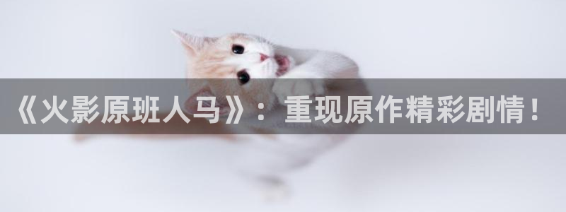 蓝莓影院电视剧免费观看：《火影原班人马》：重现原作精彩剧情！