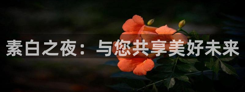 蓝莓影院免费观看电视剧推荐：素白之夜：与您共享美好未来