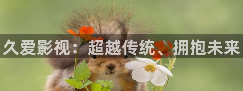 蓝莓影视：久爱影视：超越传统、拥抱未来