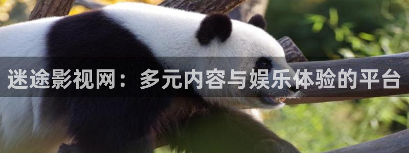 蓝莓影院官网：迷途影视网：多元内容与娱乐体验的平台